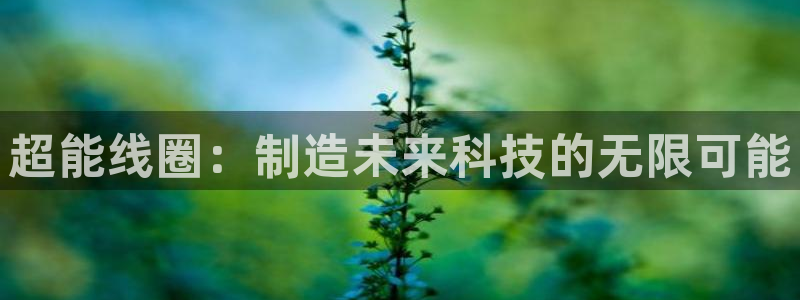 谈球吧官网app下载