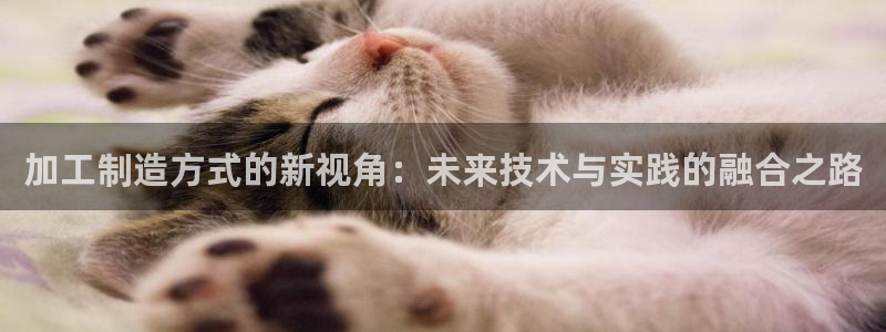 谈球吧体育综合