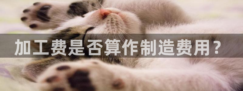 谈球吧体育