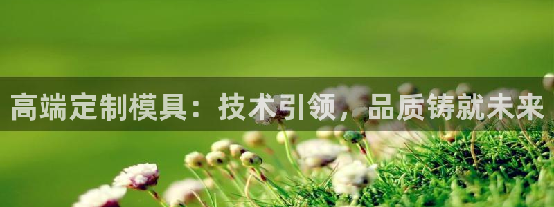 谈球吧官网在线入口手机版免费
