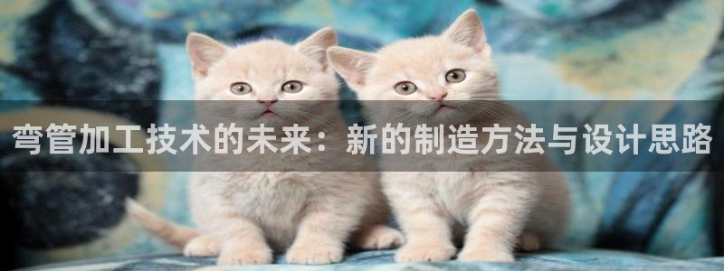 谈球吧是正规平台吗