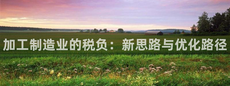 谈球吧在线观看