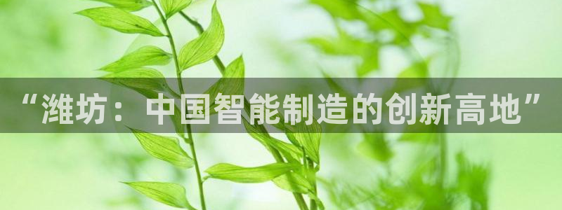 谈球吧平台正规吗可信吗安全吗