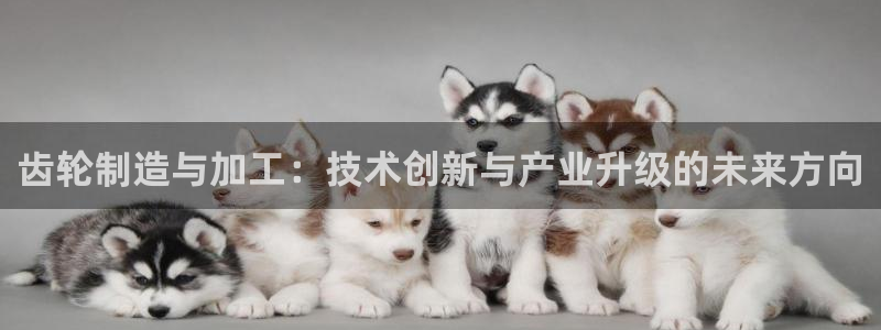 谈球吧app官网下载安卓