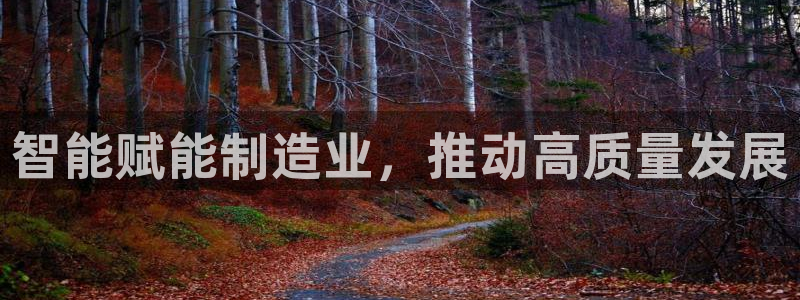 谈球吧体育app下载中心官网