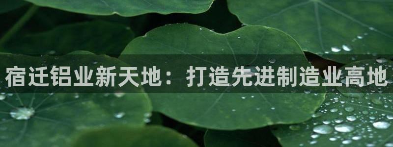 谈球吧体育官网在线入口