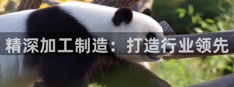 谈球吧体育综合台