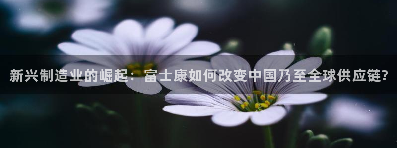 谈球吧官网在线入口手机版免费