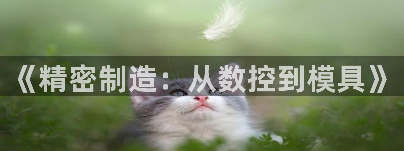 谈球吧app官方下载