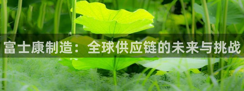 谈球吧体育app下载官网安卓