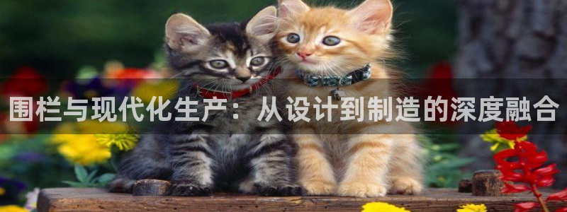谈球吧体育app下载中心官网苹果