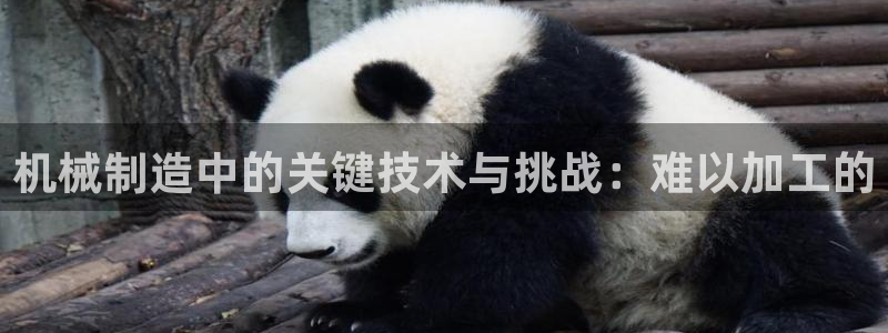 谈球吧官网在线入口免费观看高清视频