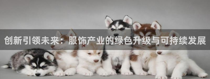 谈球吧可靠吗
