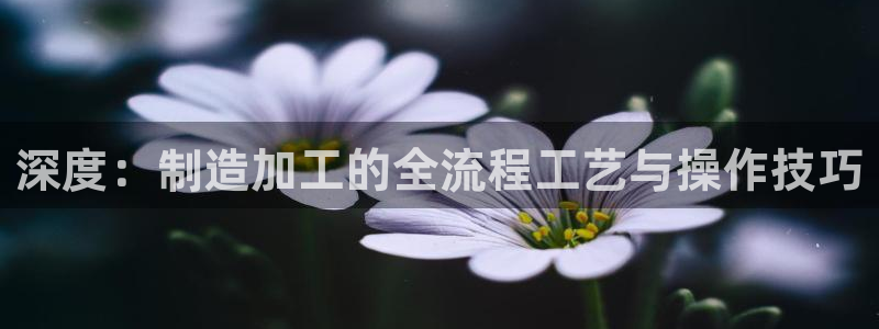 谈球吧app官网下载安卓