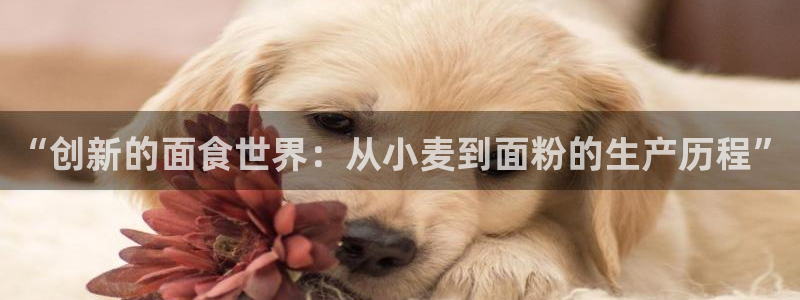 谈球吧APP开元