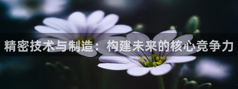 谈球吧官网在线入口手机版免费