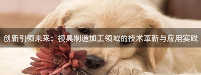 谈球吧官方网站