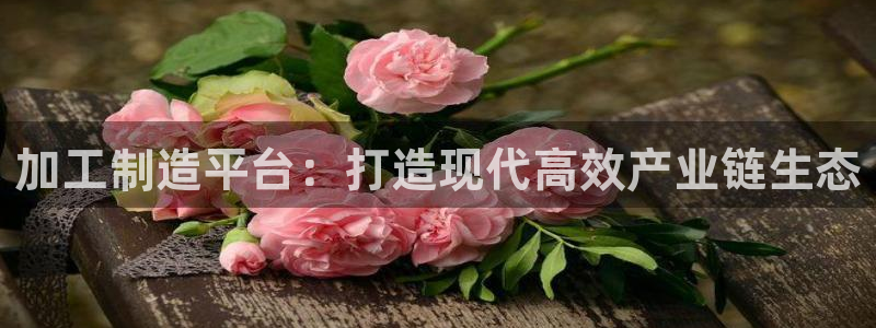 谈球吧平台app下载网址