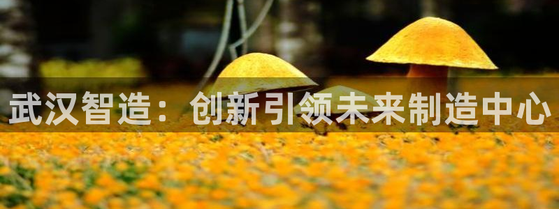 谈球吧被黑不给提现