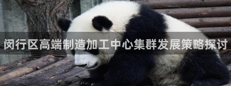 谈球吧-体育赛事