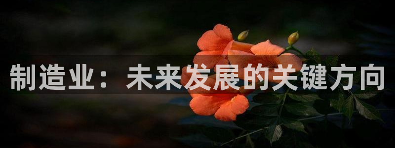 谈球吧黑款不