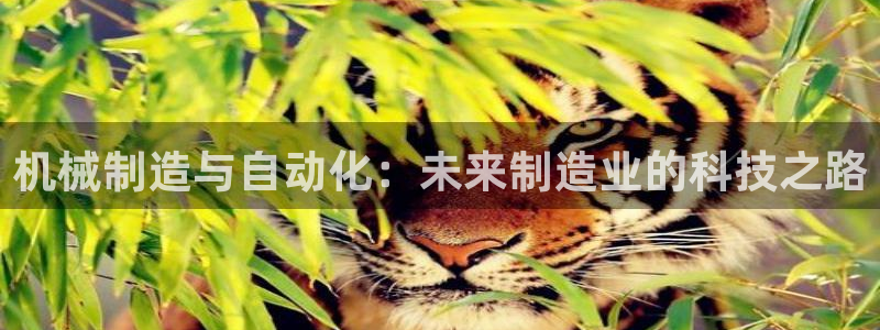 谈球吧怎么样