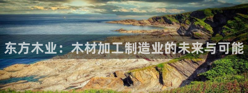谈球吧官网入口在线观看