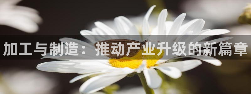 谈球吧是正规平台吗安全吗