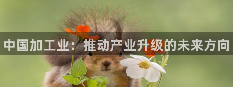 谈球吧的聊天软件叫什么名字