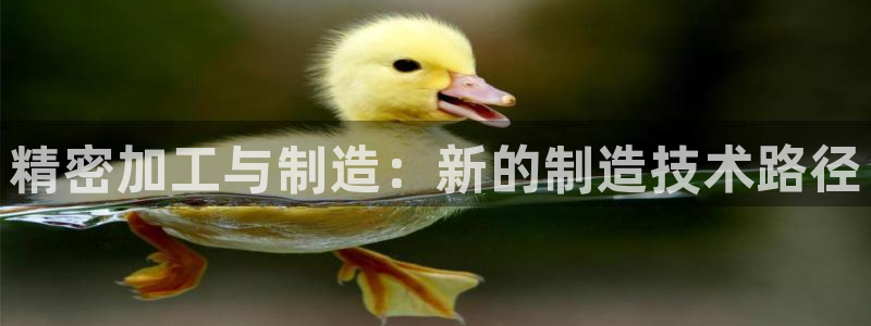 谈球吧买球提现